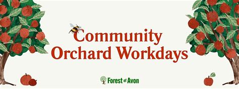Community Orchard Workday: Winter fruit tree pruning, Eastville Park ...