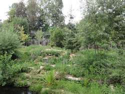 ZooLex Exhibit - Valley of the Wolves