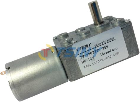 Buy Small 12vdc 15 RPM Worm Reduction Gear Motor Online at Lowest Price ...