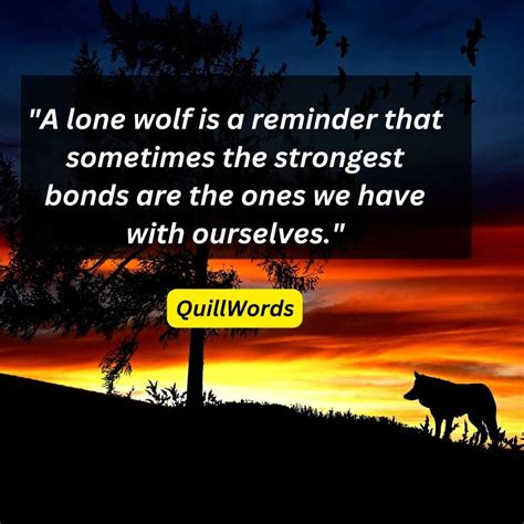 100 Epic Lone Wolf Quotes to Inspire You 2026 - QuillWords