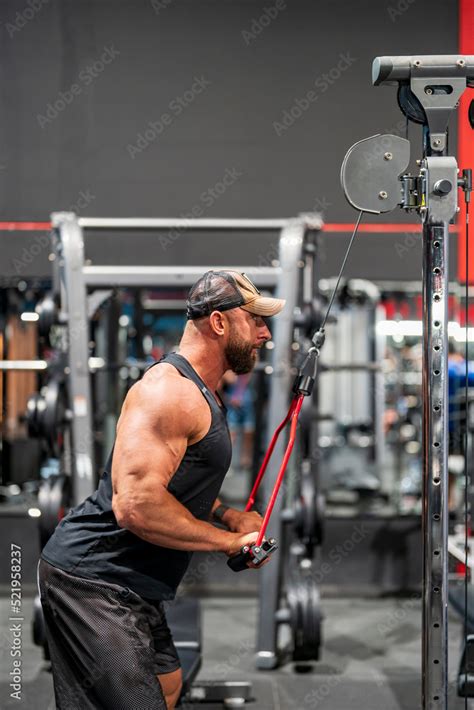 Image result for Tricep Machine Exercises