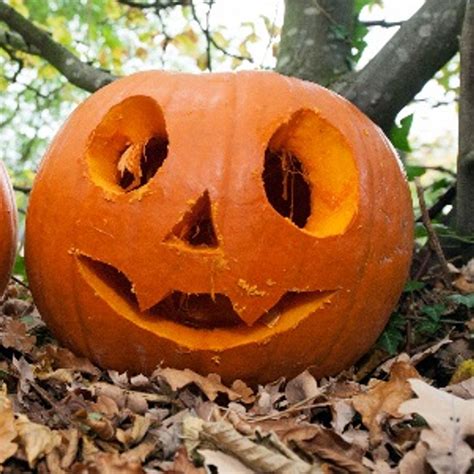 Easy Halloween Pumpkin Ideas For Kids