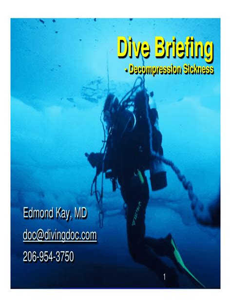 Fillable Online Dive Briefing Fax Email Print - pdfFiller
