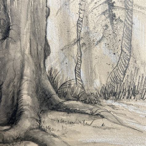 Image result for Graphite Pencil Drawing Tree