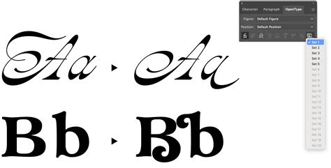 Image result for OpenType Features