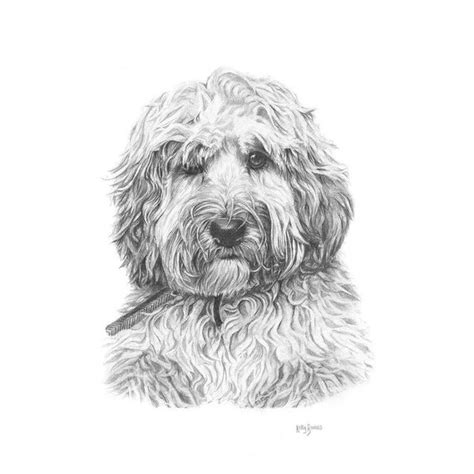 Image result for Hand Drawn Cockapoo
