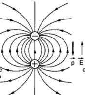 When a dielectric is placed in an electric filed, it gets polarized ...