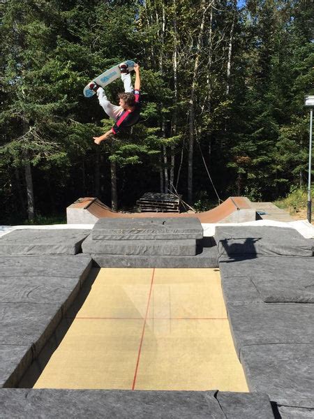 Snowboard Addiction Traverse 的图像结果