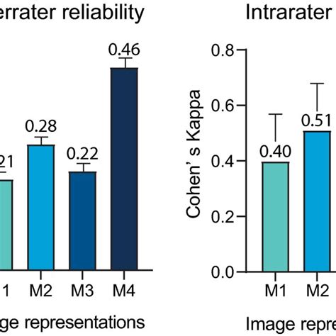 Kappa Inter-Rater Reliability 的图像结果