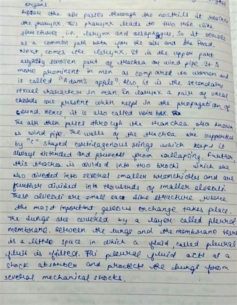 How does Respiration system works correctly in Human Beings .Explain it ...