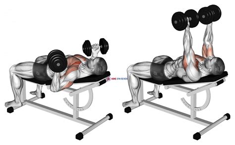 Dumbbell Incline Bench Press Hammer Grip Incline Dumbbell Bench Press