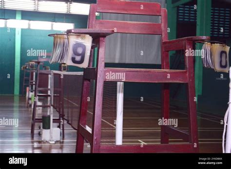 Badminton Referee 的图像结果