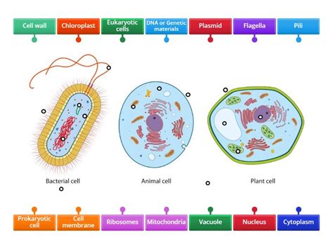 Learning Biology 的图像结果