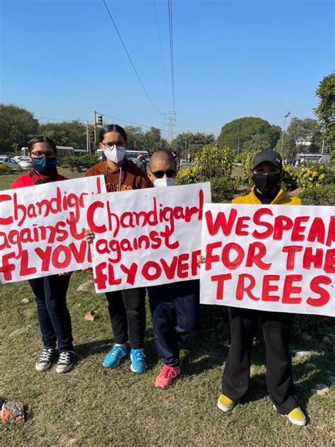 Petition · SAVE THE TREES OF CHANDIGARH - India · Change.org