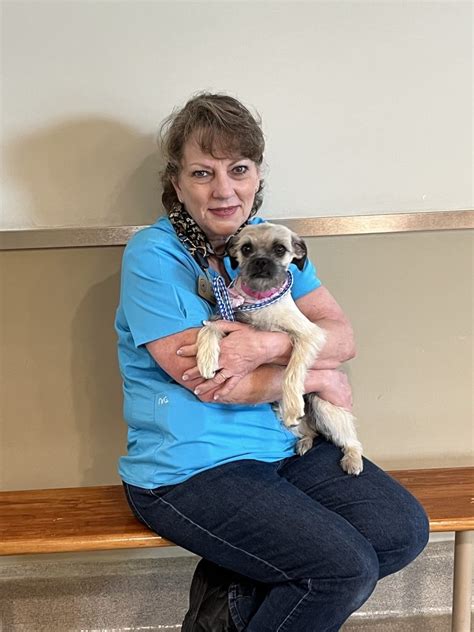 AFV Zoo Animals 的图像结果