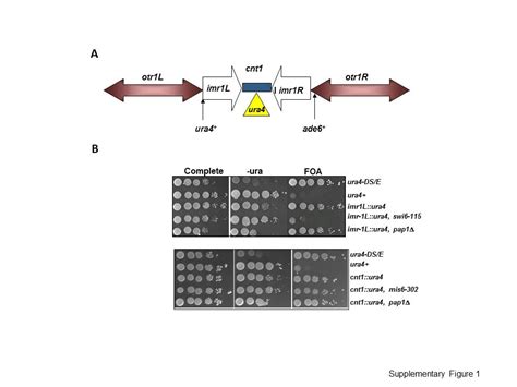 Journal of Biosciences | Indian Academy of Sciences