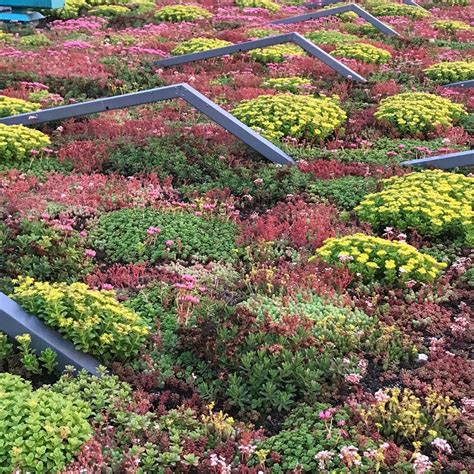 OPEN DAK -open dag , Industrielaan 15 E, 3925 BD Scherpenzeel ...