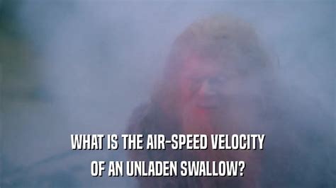 Monty Python Swallow 的图像结果