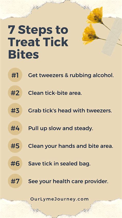 How to Treat Tick Bites in Seven Easy Steps - Never Alone