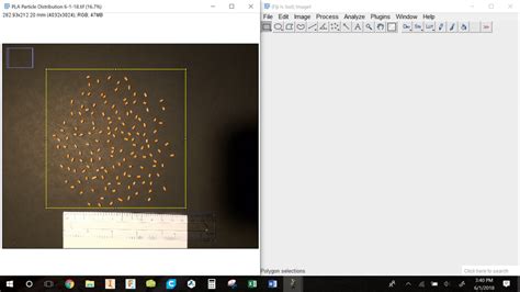 ImageJ Particle Analysis 的图像结果
