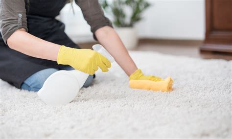 The Super Simple Guide To Deep Cleaning Gross Carpets | 21Oak