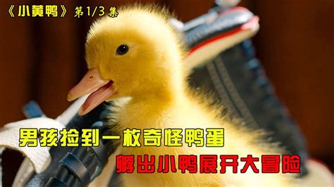 男孩捡到一枚奇怪鸭蛋，孵出小鸭展开冒险（上）_高清1080P在线观看平台_腾讯视频