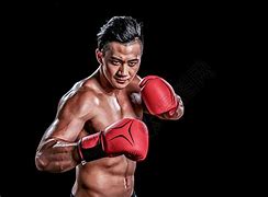 Image result for 搏击 Fight