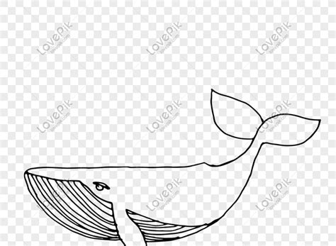 Image result for Python-Matplotlib Linestykes