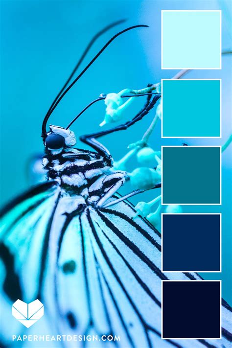 Color palette geology rocks – Artofit