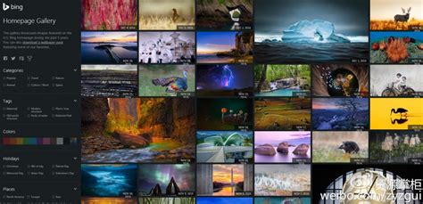 Bing 图片识别 的图像结果