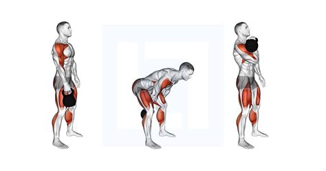 Power Clean Muscles Worked