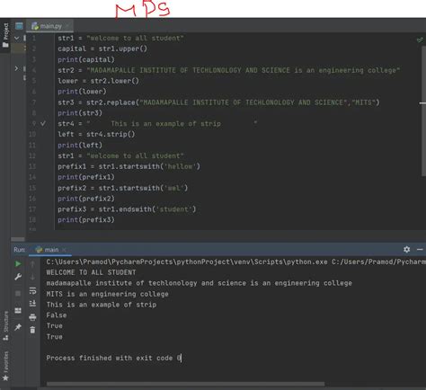 python program in string operation of a cat 的图像结果