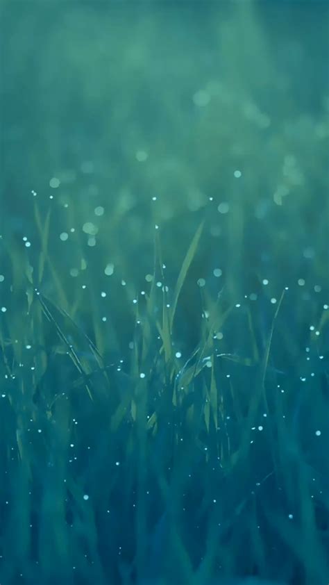 Image result for Live Background Screen