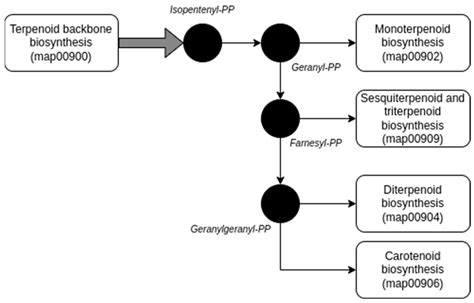 Employing Genome Mining to Unveil a Potential Contribution of ...