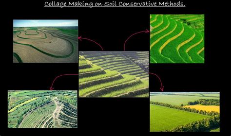 make a collage of different methods of soil conservation - Brainly.in