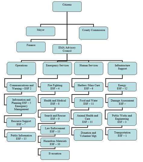 Image result for Em Org Chart