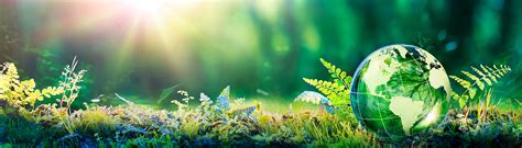 ISCC Plus & REDcert2 Certification - from fossil to renewable | TÜV SÜD ...