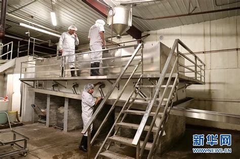 新型整套豆腐生产设备 豆腐加工厂设备 油豆腐生产线 山东济宁 中科圣创-食品商务网