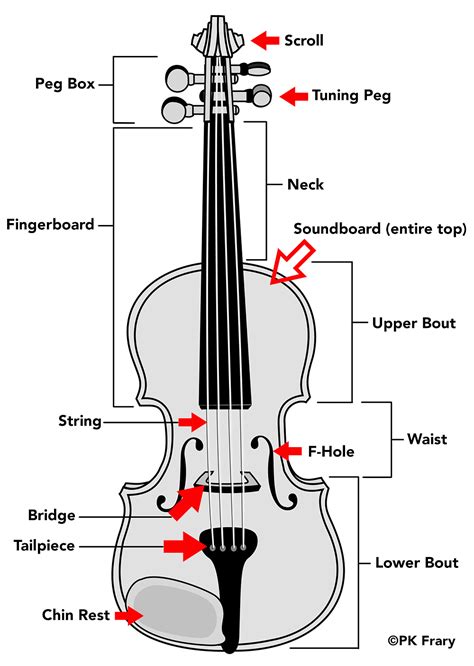 String Instrument 的图像结果
