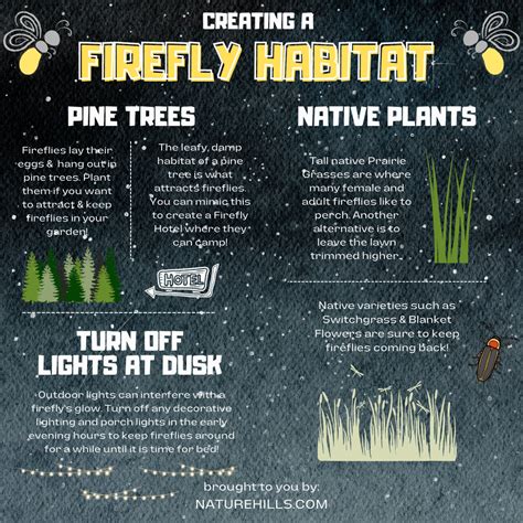 Attract Fireflies to Your Garden