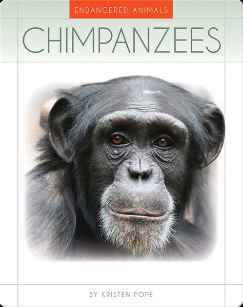 Chimpanzees Book by Kristen Pope | Epic