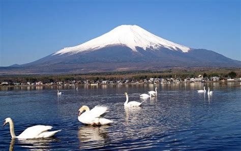 Japan Famous Landmarks 的图像结果