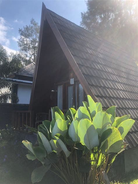 LINGGA BALI (Songan A) - Hotel Reviews, Photos, Rate Comparison ...