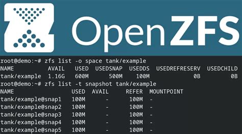 Image result for Using ZFS