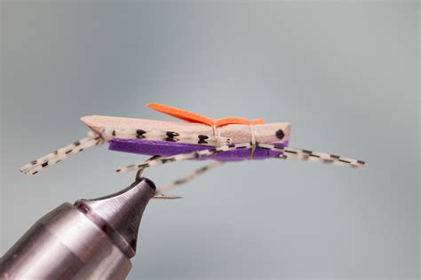 Image result for Morrish Hopper Fly Pattern