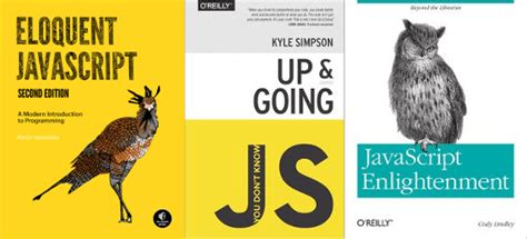 Image result for Amazon JavaScript Project Books