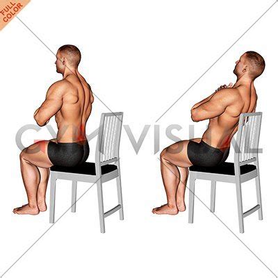 Image result for Solid Lean Back Chair