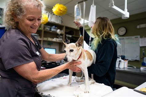 Green Lake Animal Hospital - Seattle Veterinary Associates