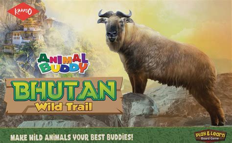 Buy KAADOO Animal Buddy - Animals of Bhutan Discovery Game - Play ...