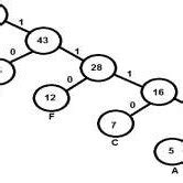 Image result for Huffman Tree Example